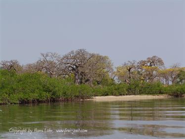 Gambia 05 Ausflug ins Saloum-Delta und zur Insel Ginack,_DSC00868b_B740